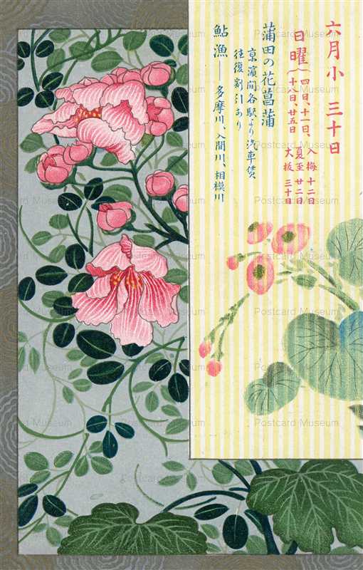 kfg086-六月 蒲田の花菖蒲 鮎漁 多摩川　